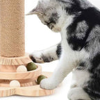 Cat playing with interactive track ball