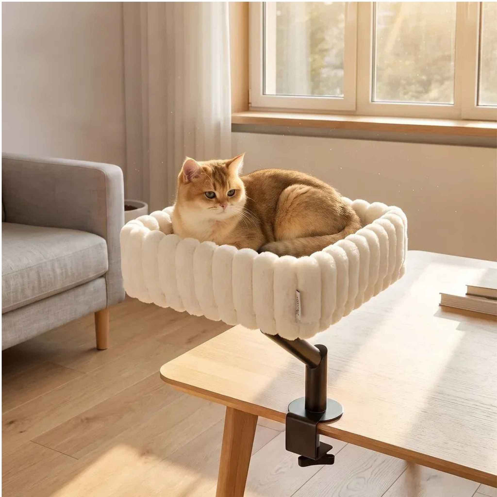 Cat relaxing in desk bed in office