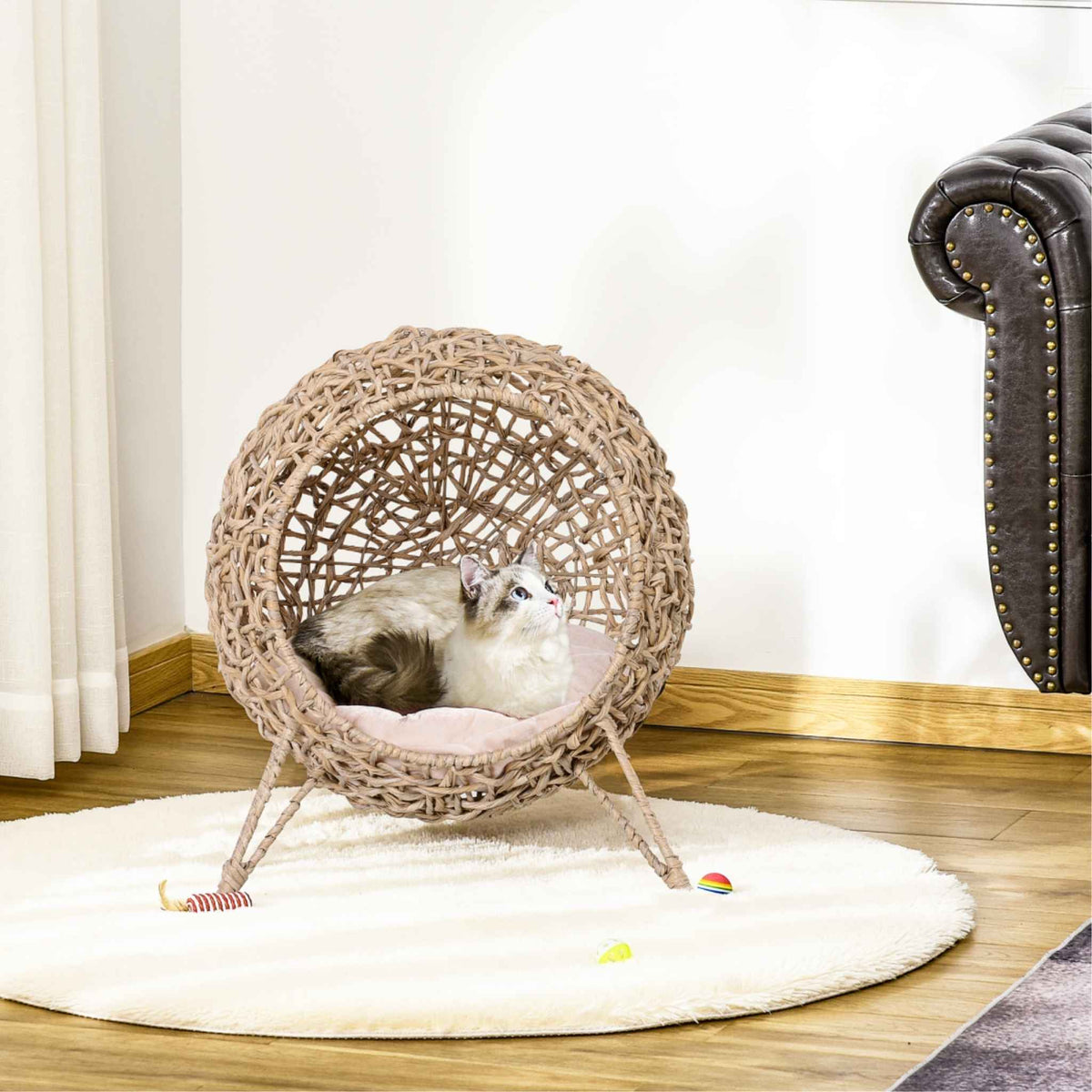 Cat resting in raised wicker beige cat bed