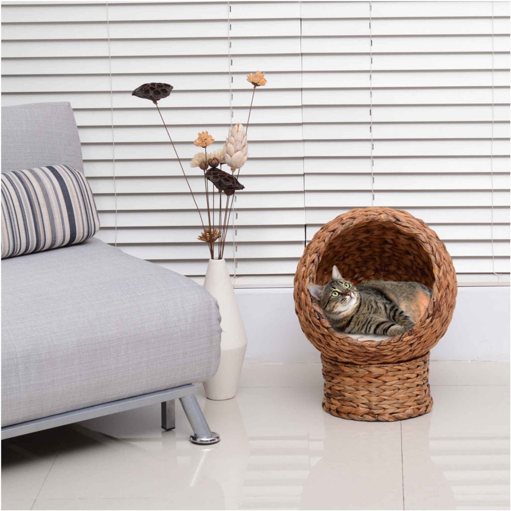 Cat resting in rattan bed next to sofa