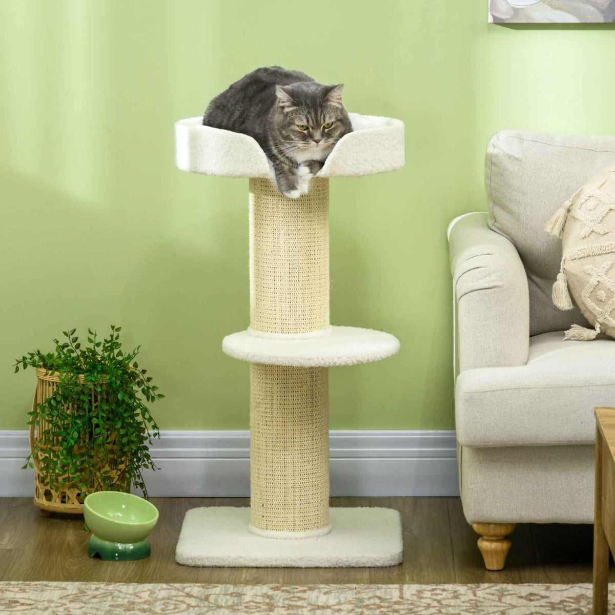Cat resting on top perch of small cat tree