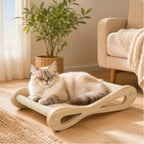 Cat resting on scratching board