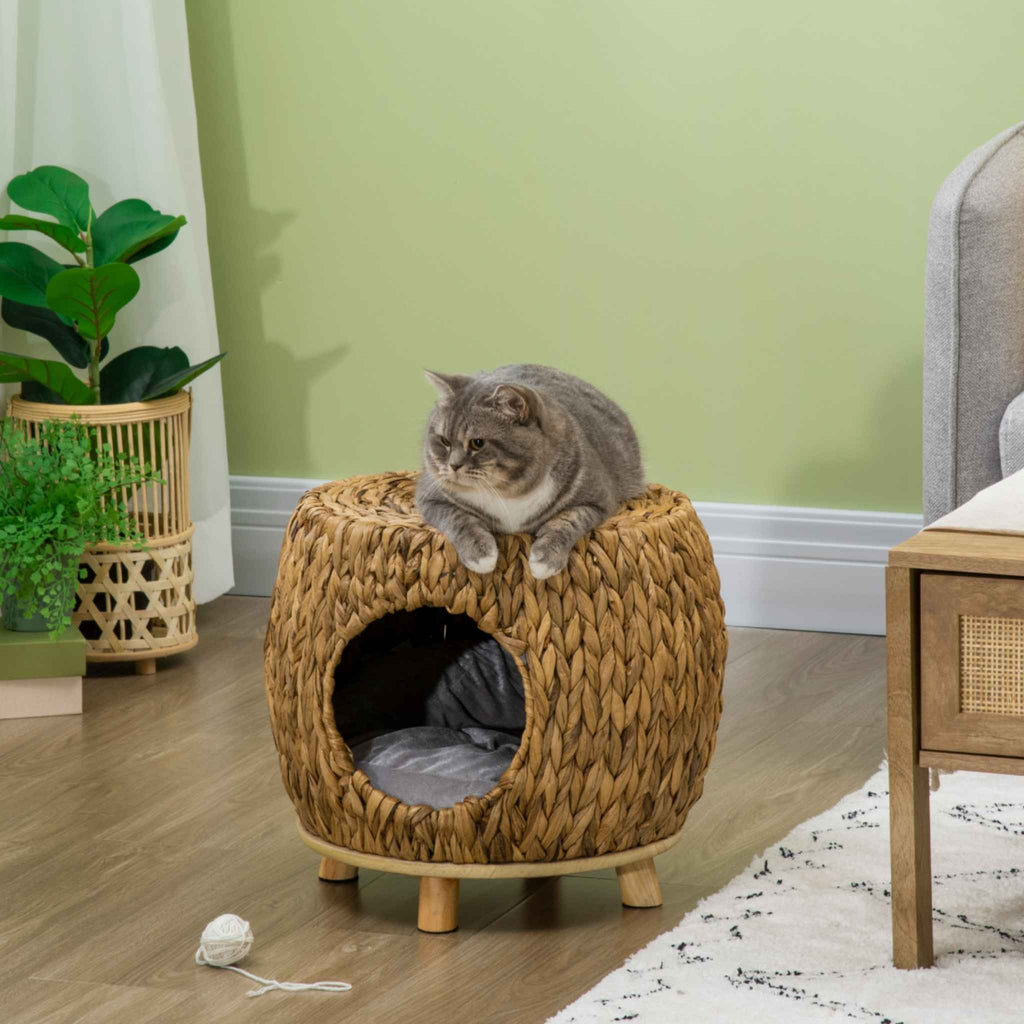 Cat resting on top of wicker cat bed