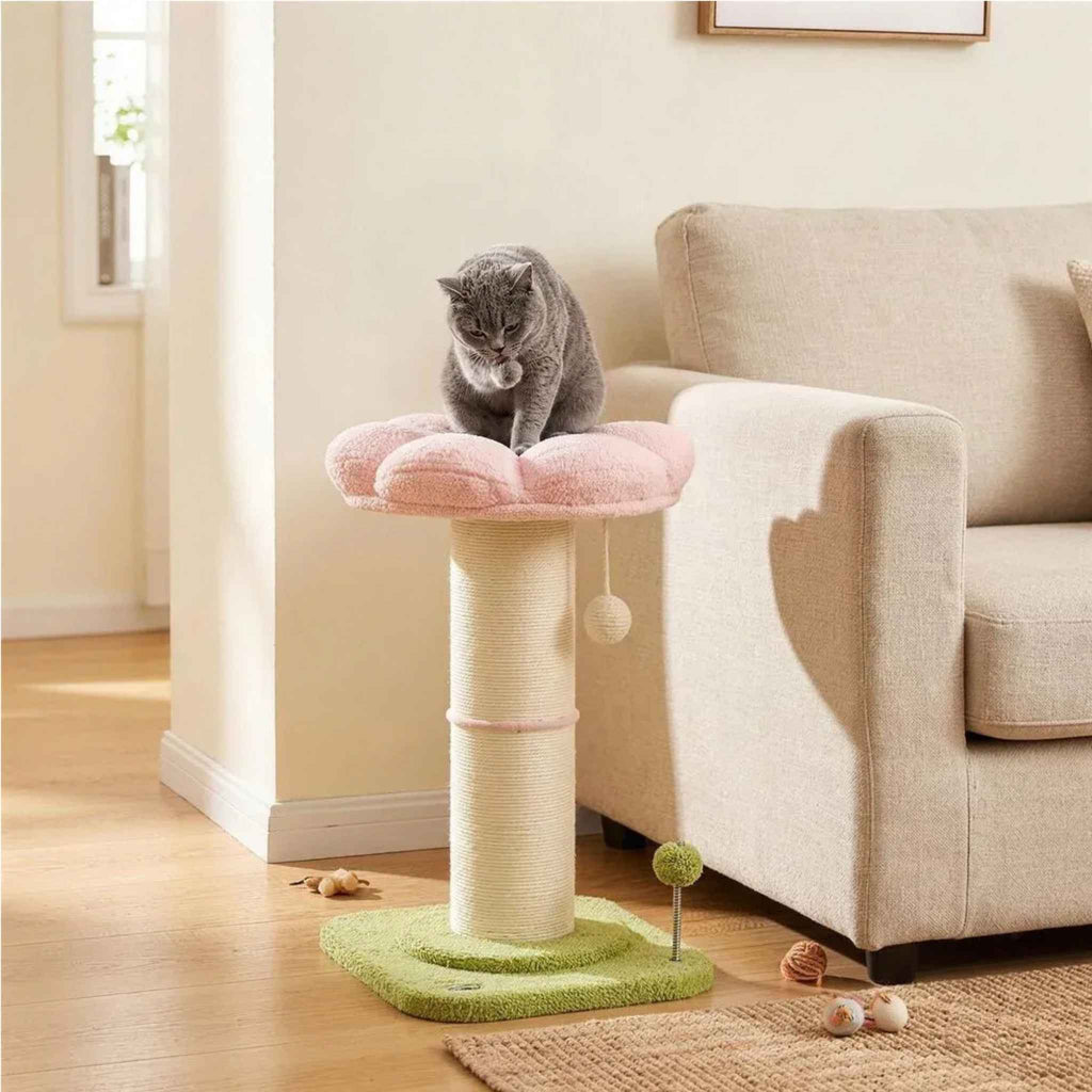 Cat resting on top perch of flower scratching post