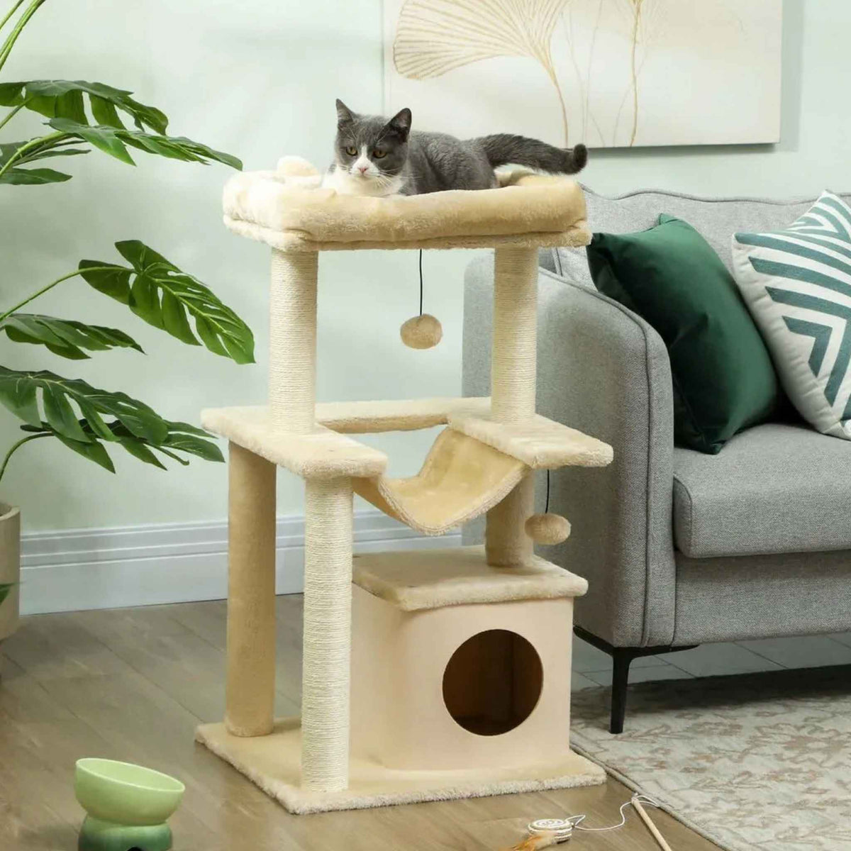Cat resting on top perch of small cat tree