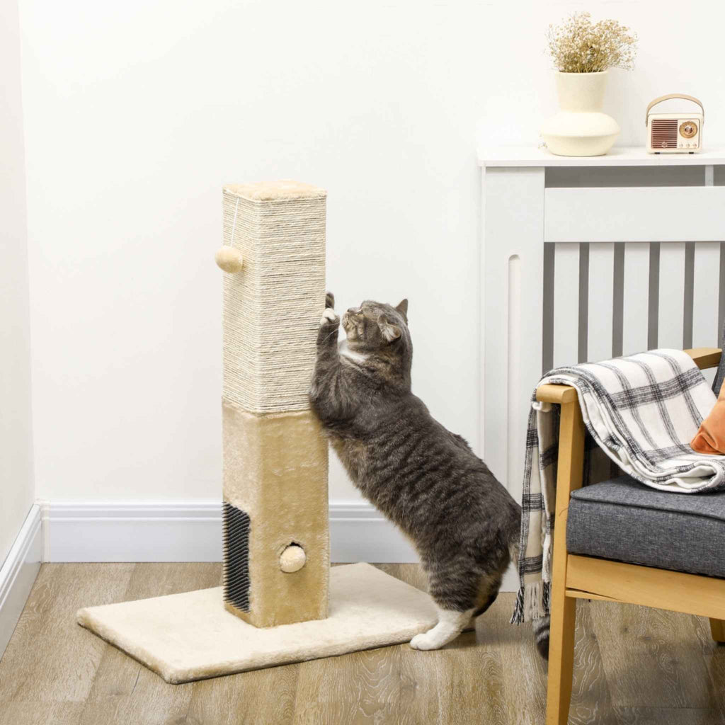 Cat scratching 79cm tall post in living room