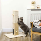 Cat scratching 79cm tall post in living room