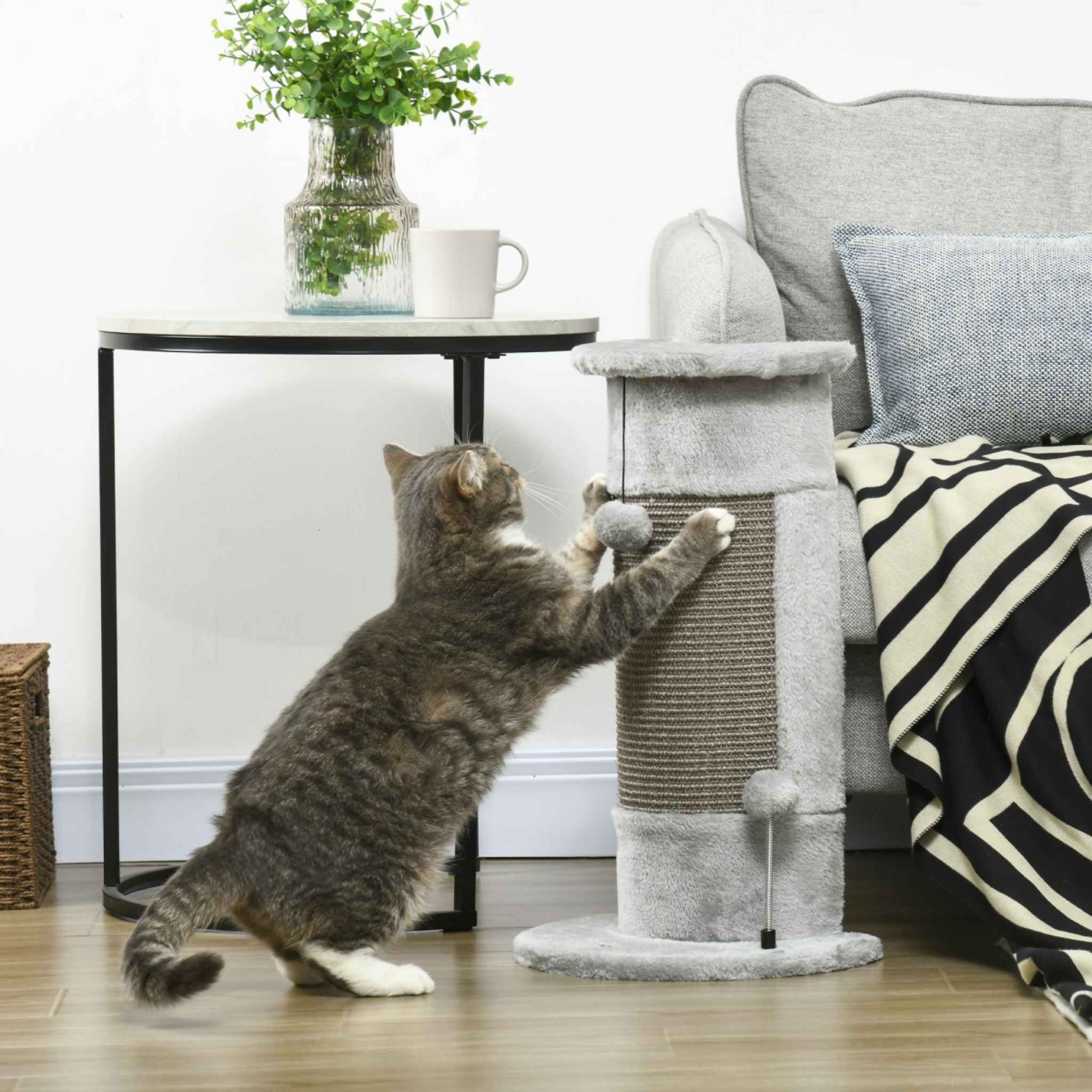 Cat scratching a post positioned at the corner of a sofa