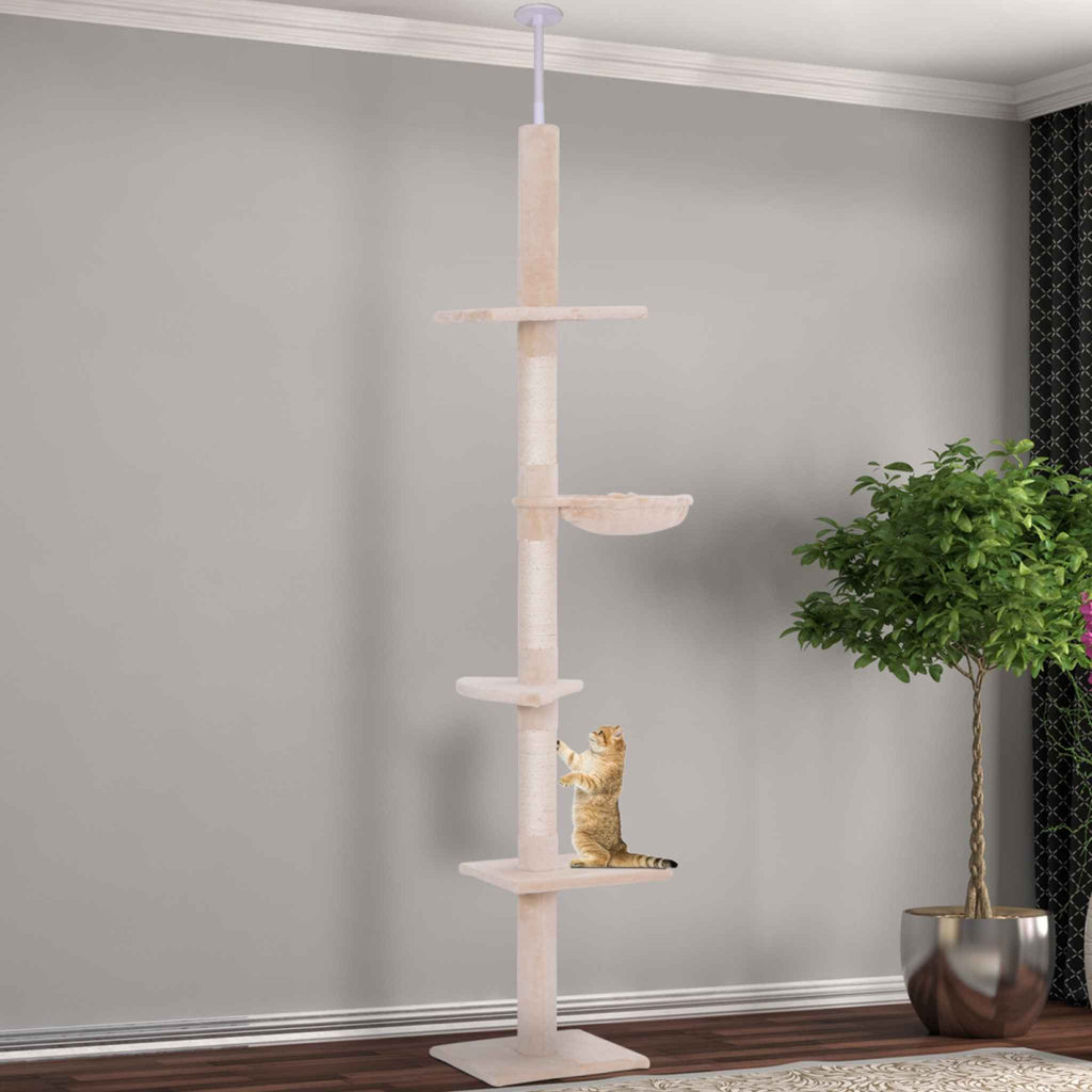 Cat scratching beige cat tree