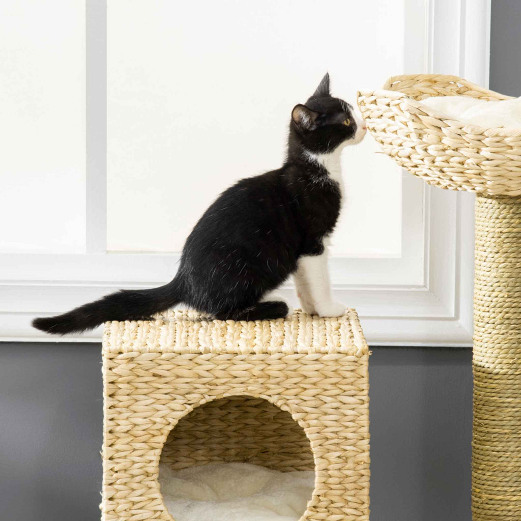 Cat scratching cattail weave post
