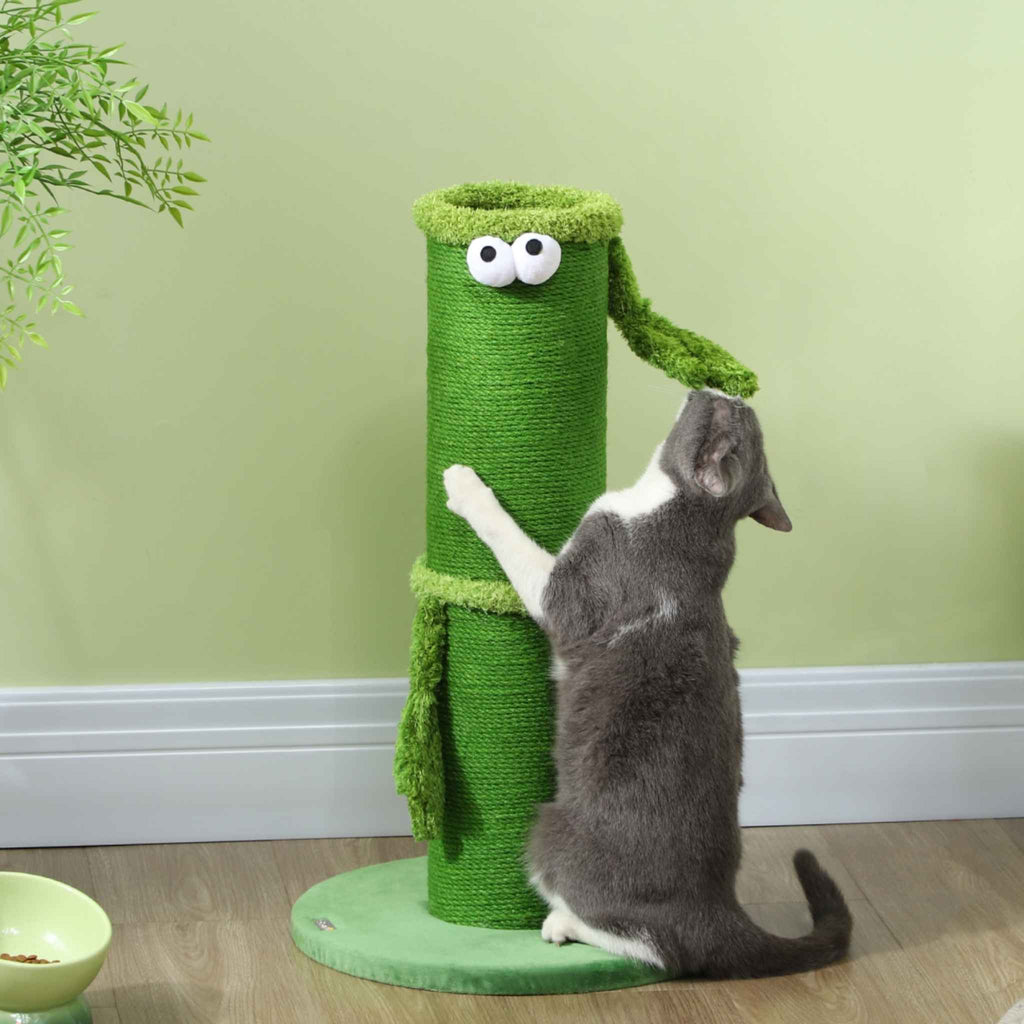 Cat scratching green post in living room