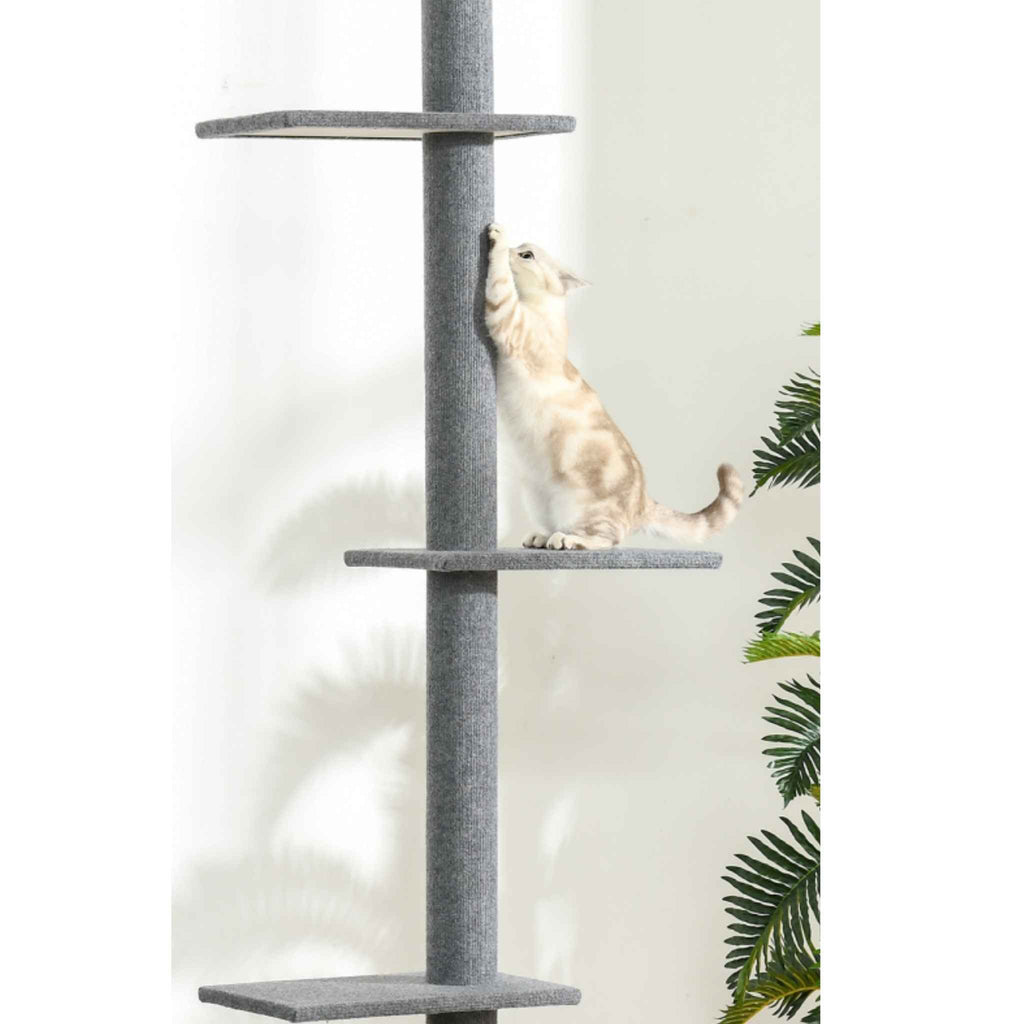 Cat scratching grey cat tree post