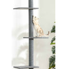 Cat scratching grey cat tree post