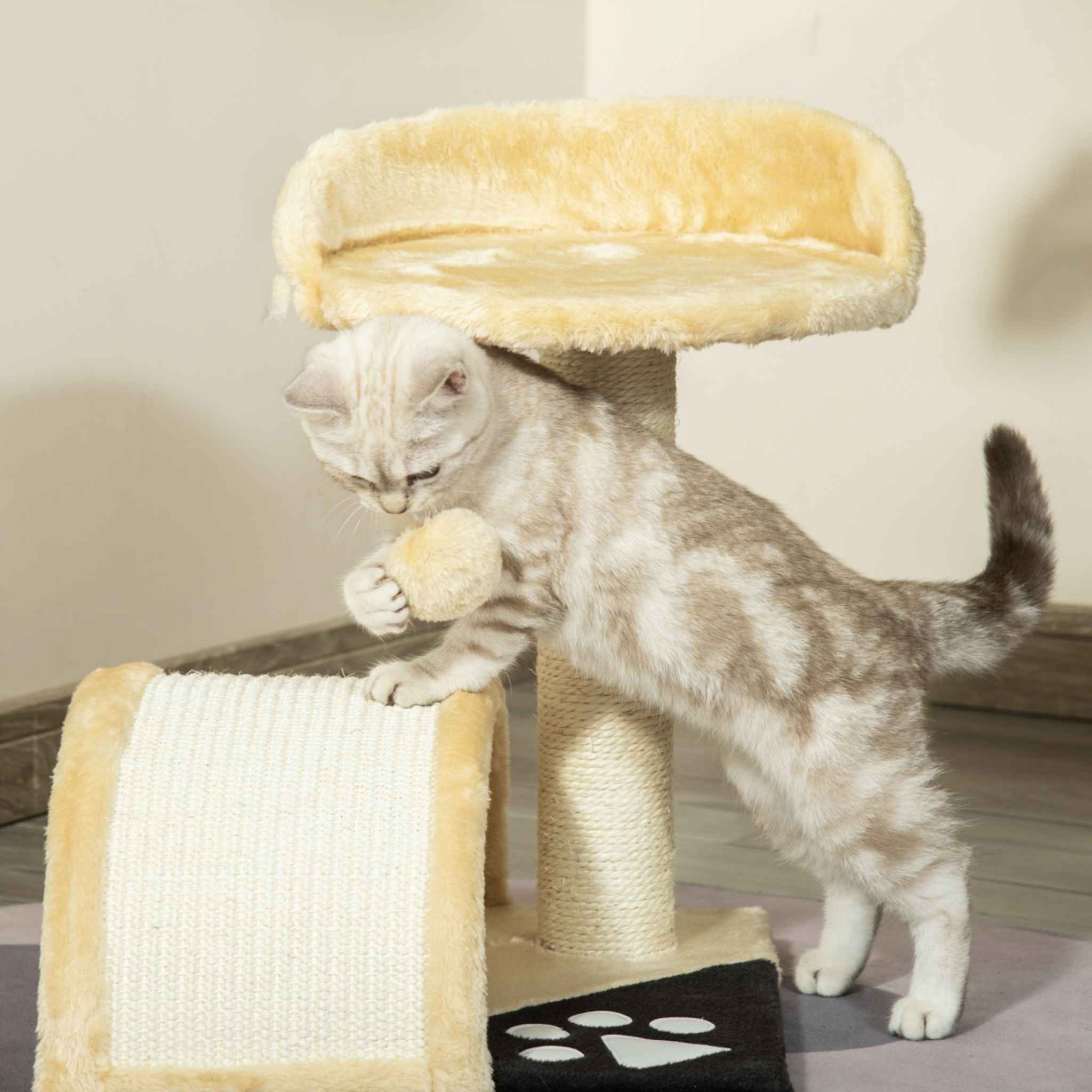 cat scratching horizontally
