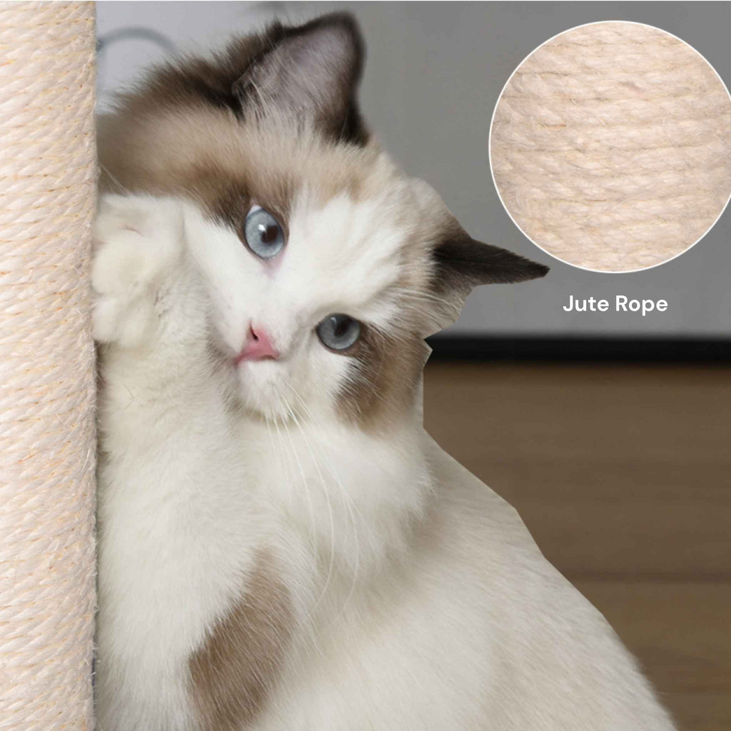 Cat scratching jute rope post