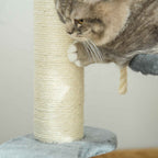 Cat scratching sisal post on grey cat tower