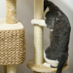 Cat scratching sisal post on wicker cat tree