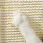 Cat scratching sisal rope surface