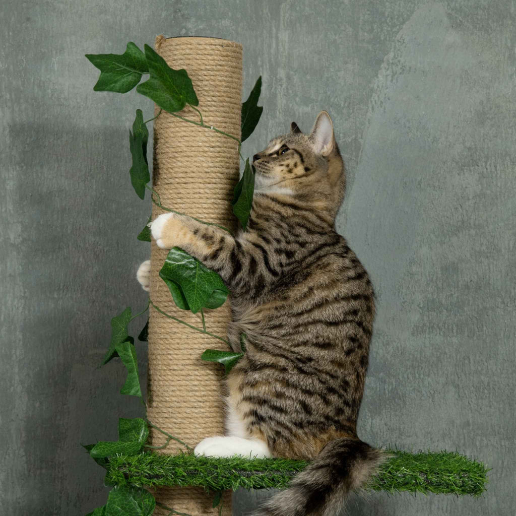 A tabby cat climbing and scratching on a sisal rope cat tree decorated with green ivy leaves