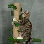 A tabby cat climbing and scratching on a sisal rope cat tree decorated with green ivy leaves