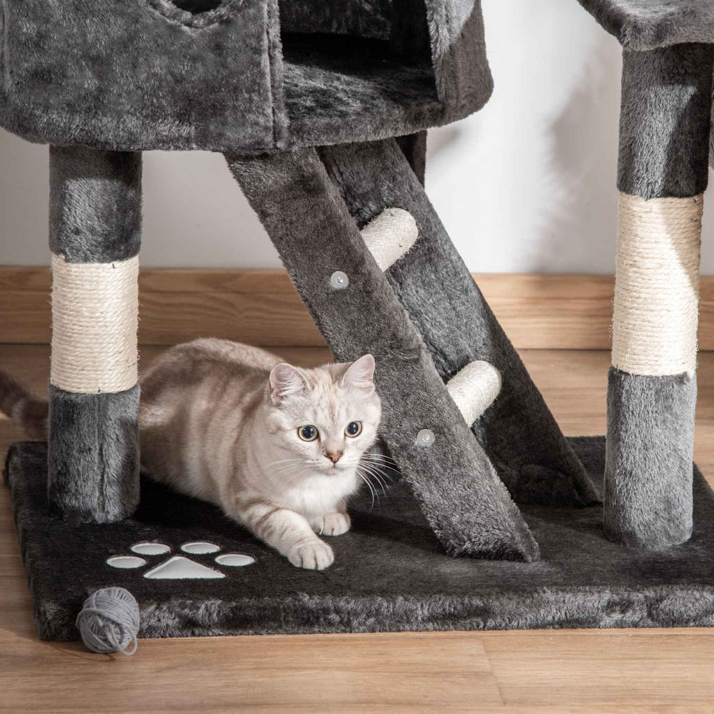 Cat sitting at the bottom of cat tree ladder