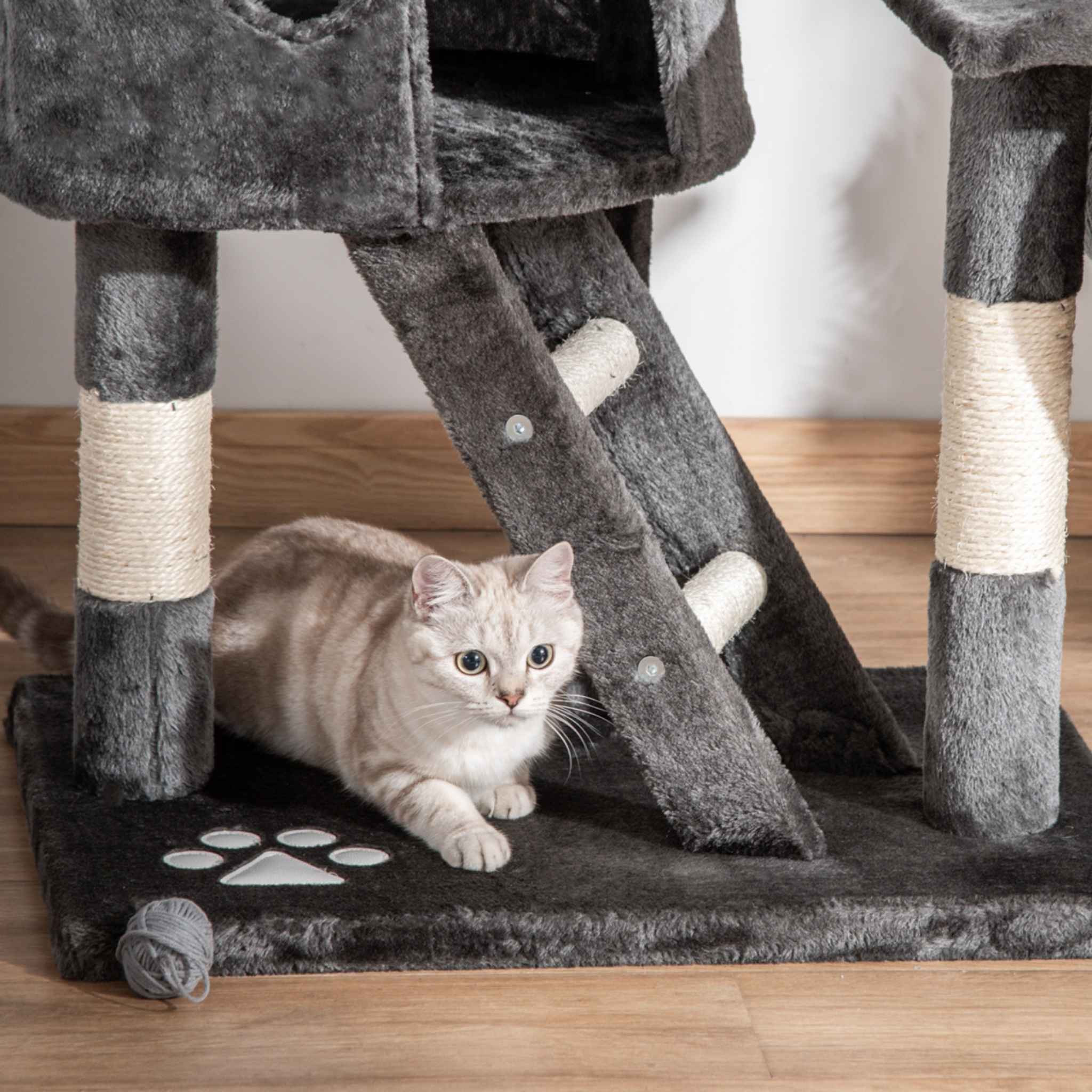 Cat sitting at the bottom of cat tree ladder