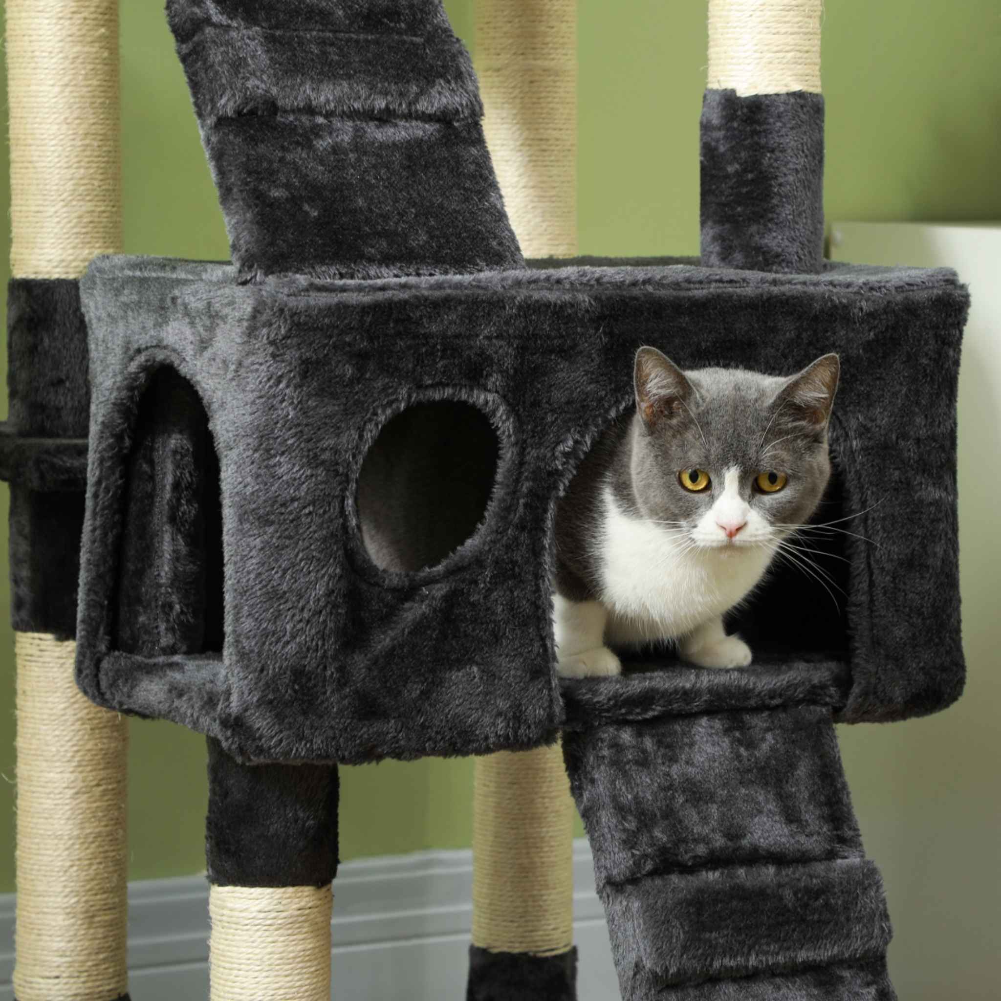 Cat sitting in cat bed attached to extra tall grey cat scratching tree