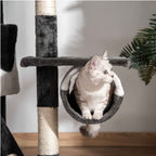 Cat sitting in cat tree tunnel