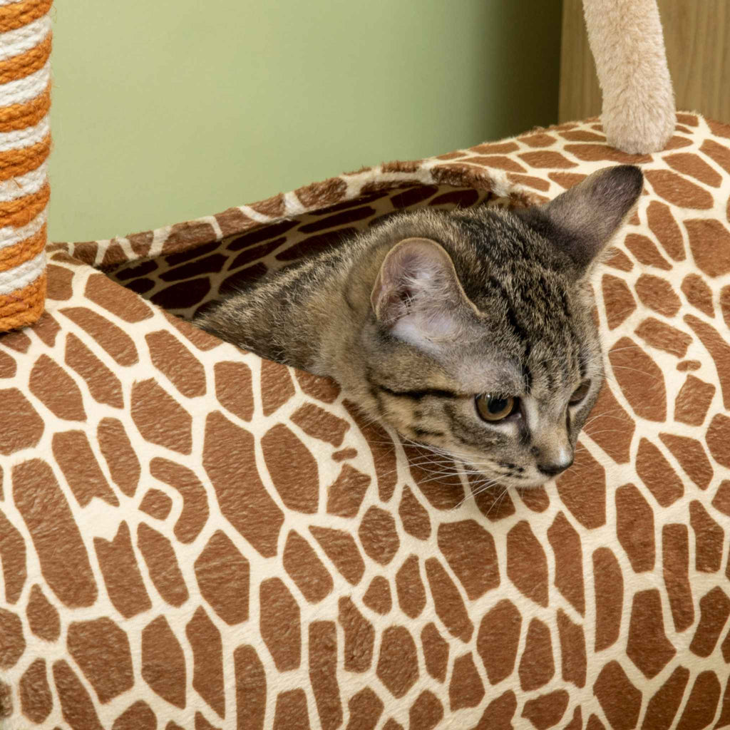 Cat sitting in giraffe style cat tree tunnel