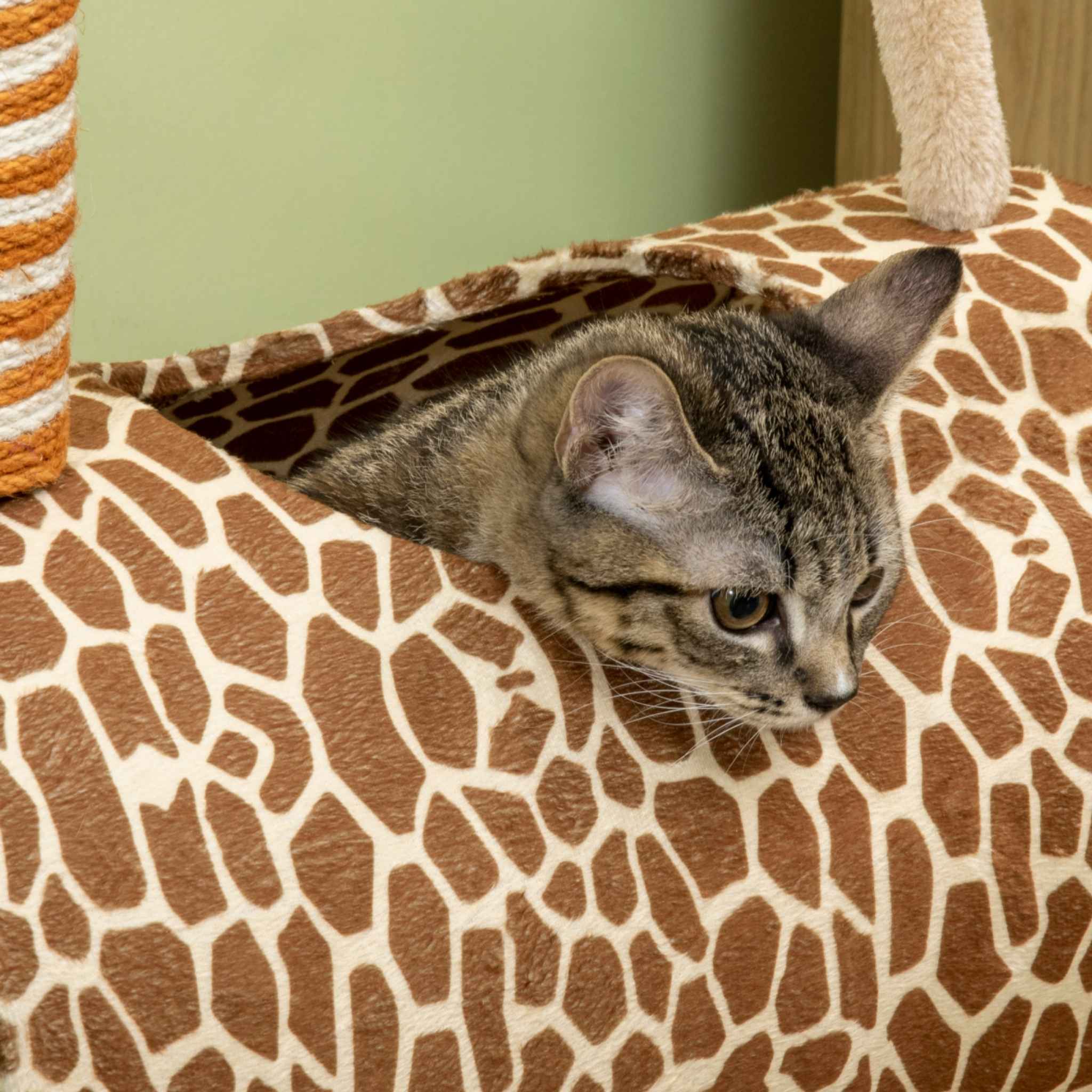 Cat sitting in giraffe style cat tree tunnel