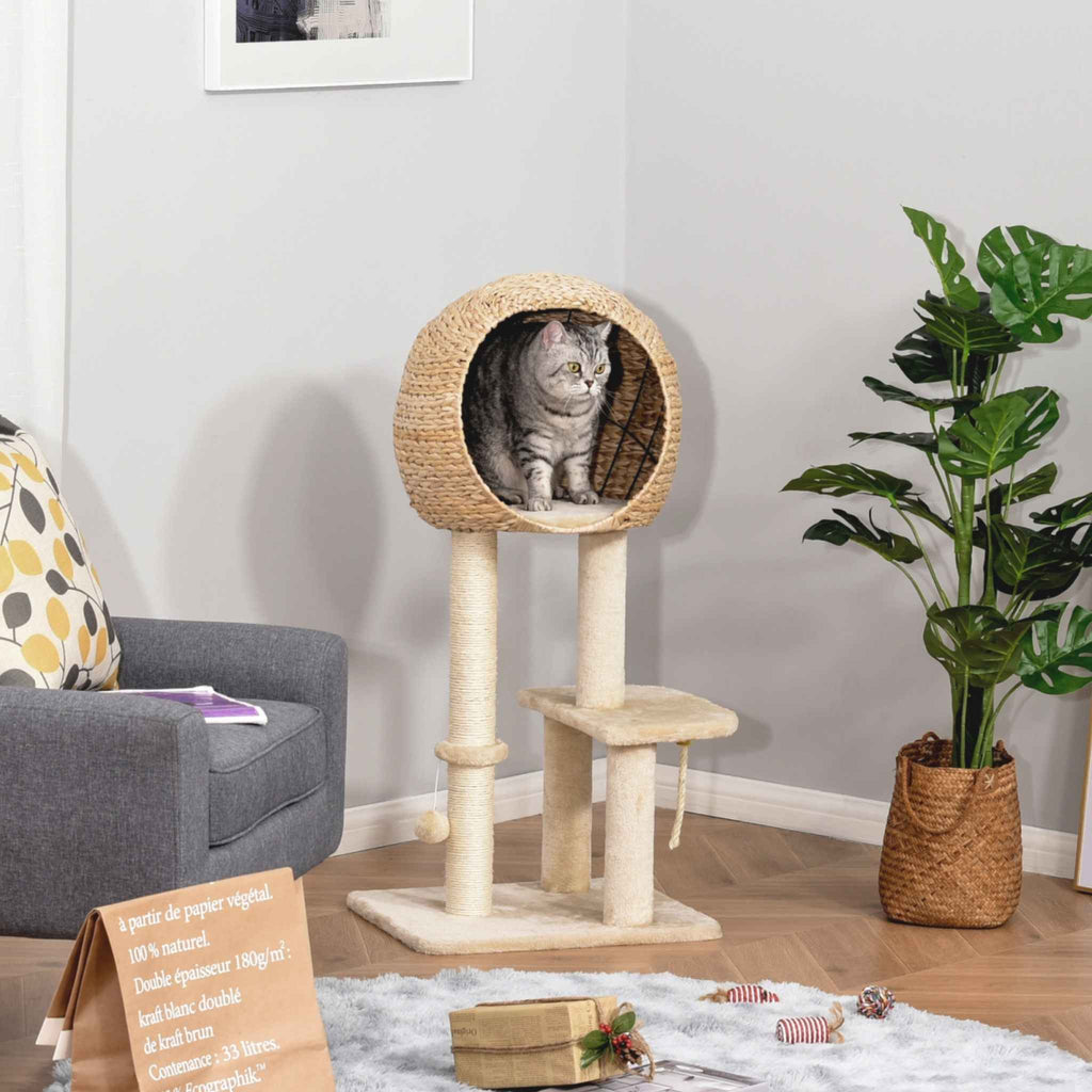 Cat sitting inside a woven cat tree in a living room