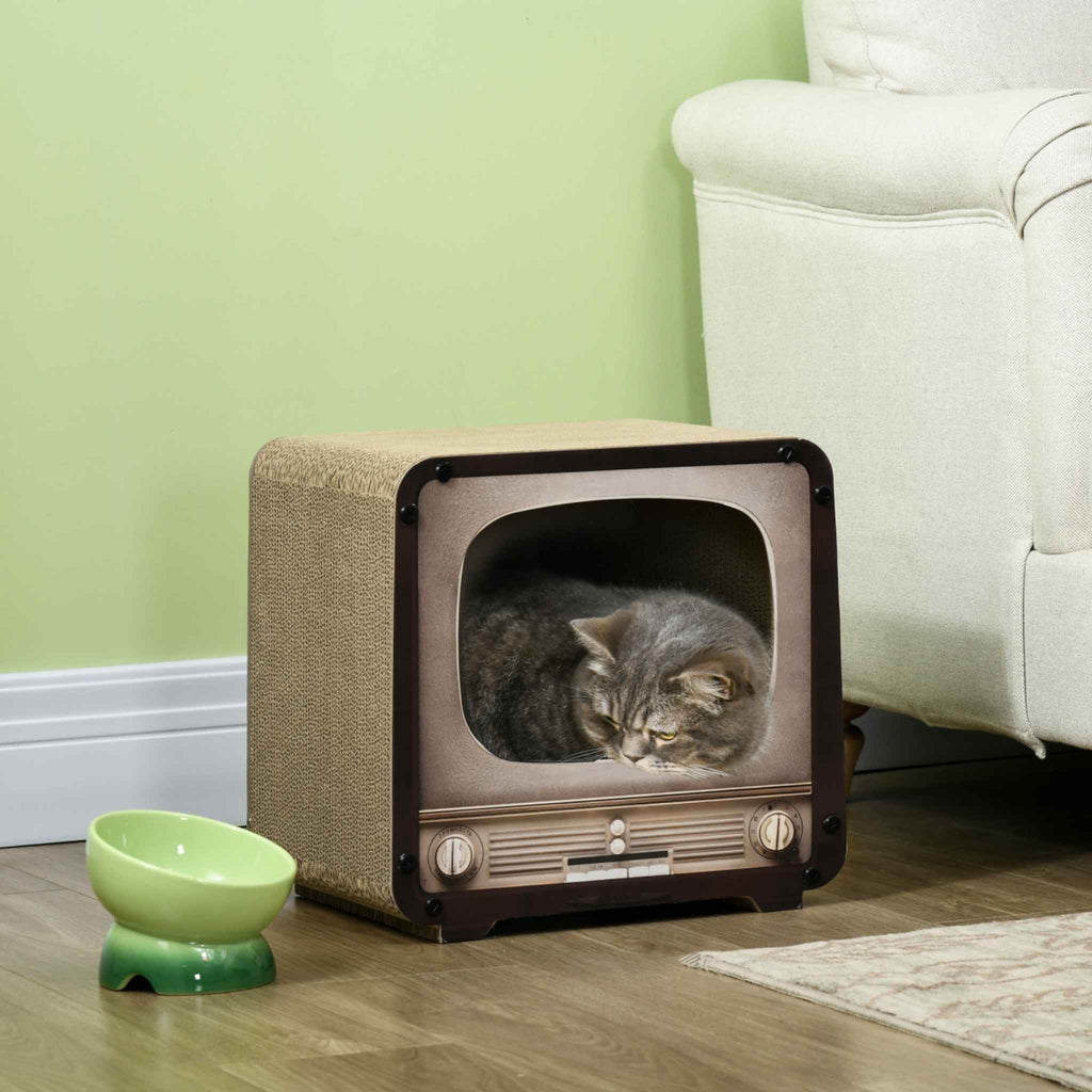 Cat sitting in TV shaped cat scratcher