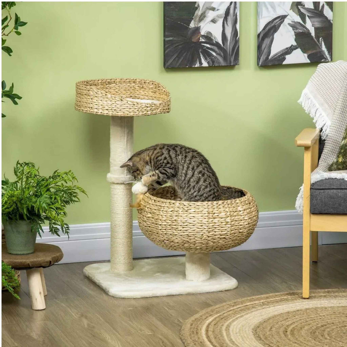 Cat sitting in wicker cat bed