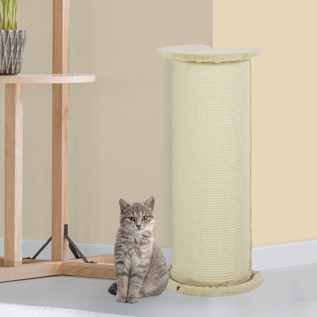 Cat sitting next to scratching post