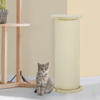 Cat sitting next to scratching post