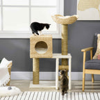 Cat sitting on cattail cat tree tower