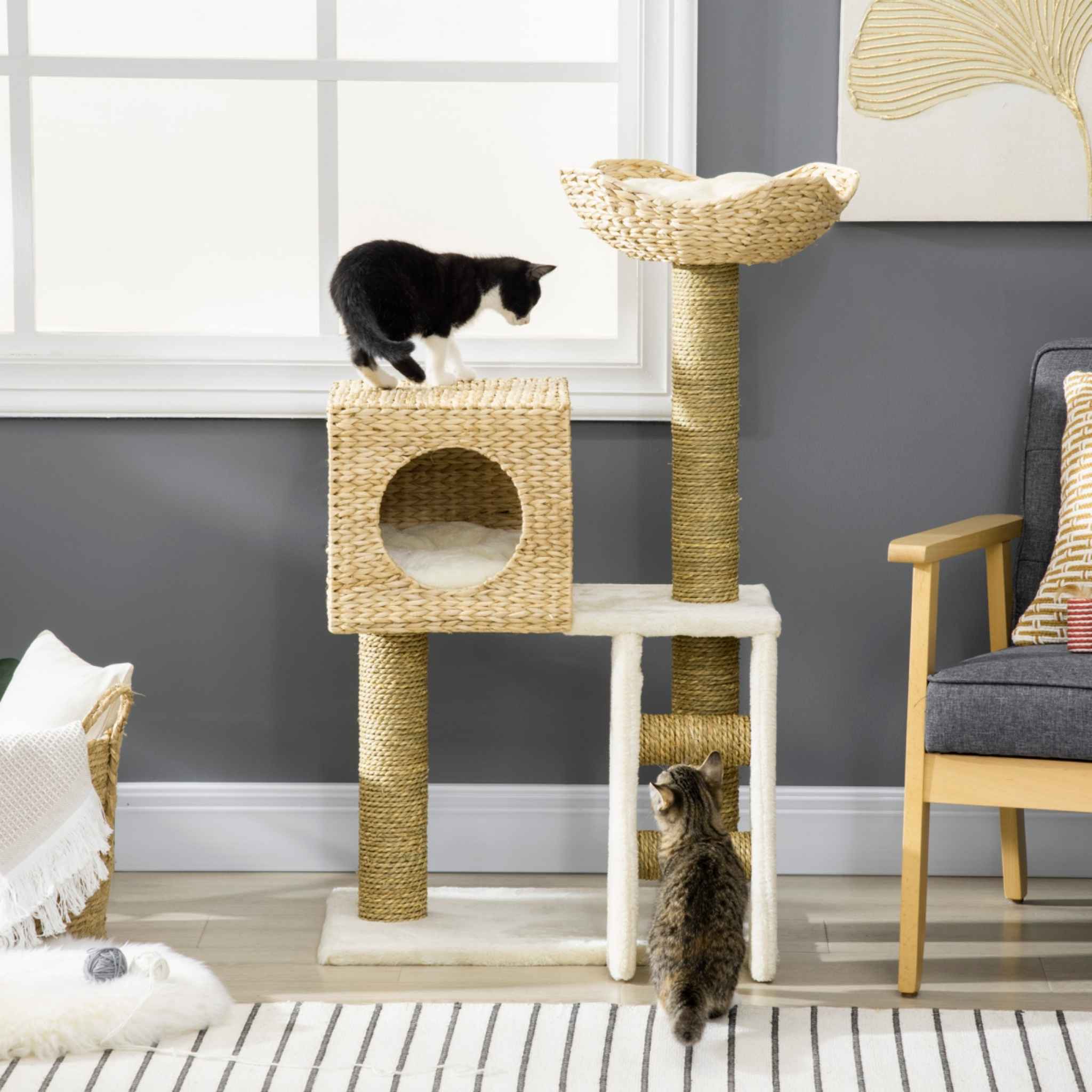 Cat sitting on cattail cat tree tower