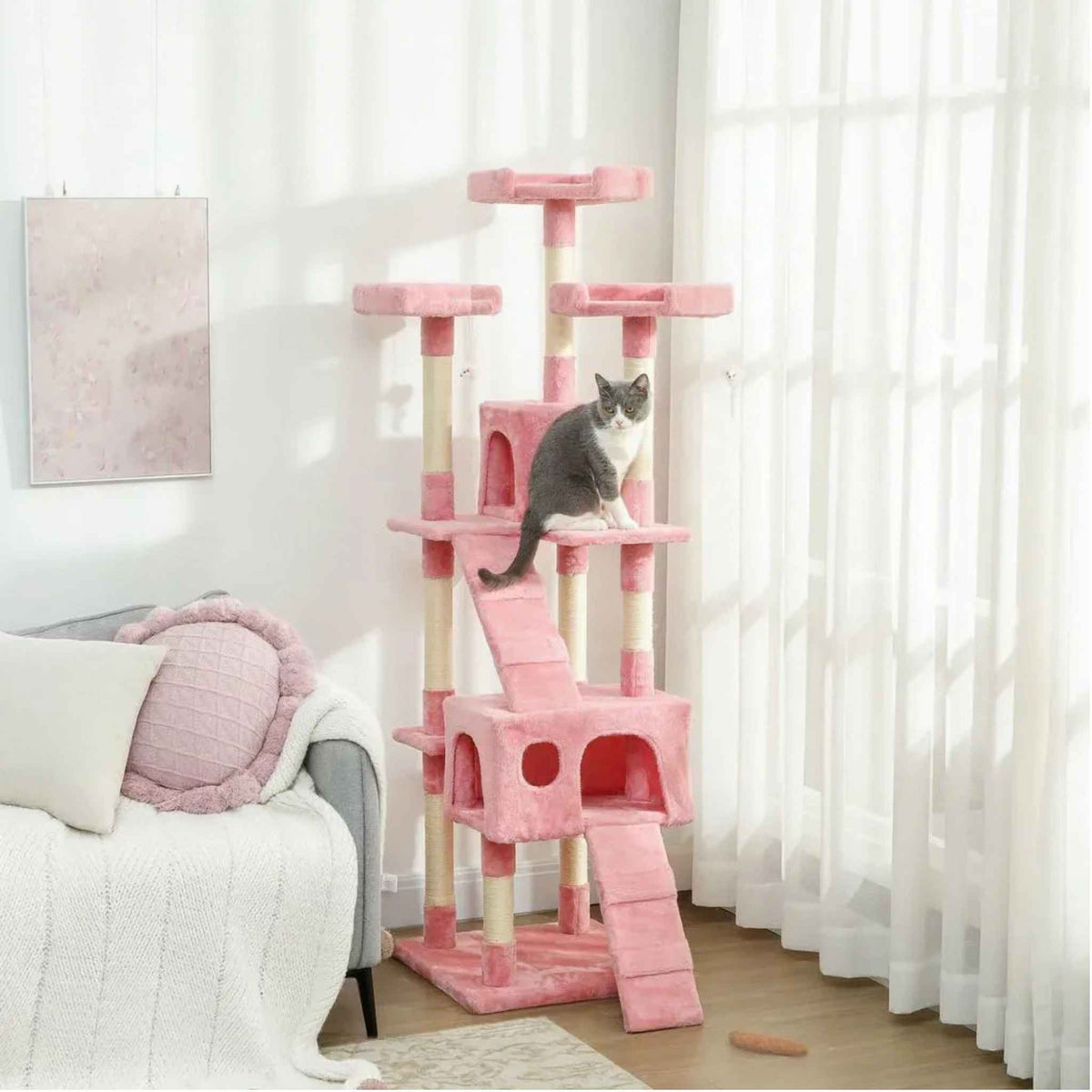 Cat sitting on second level of pink cat tree