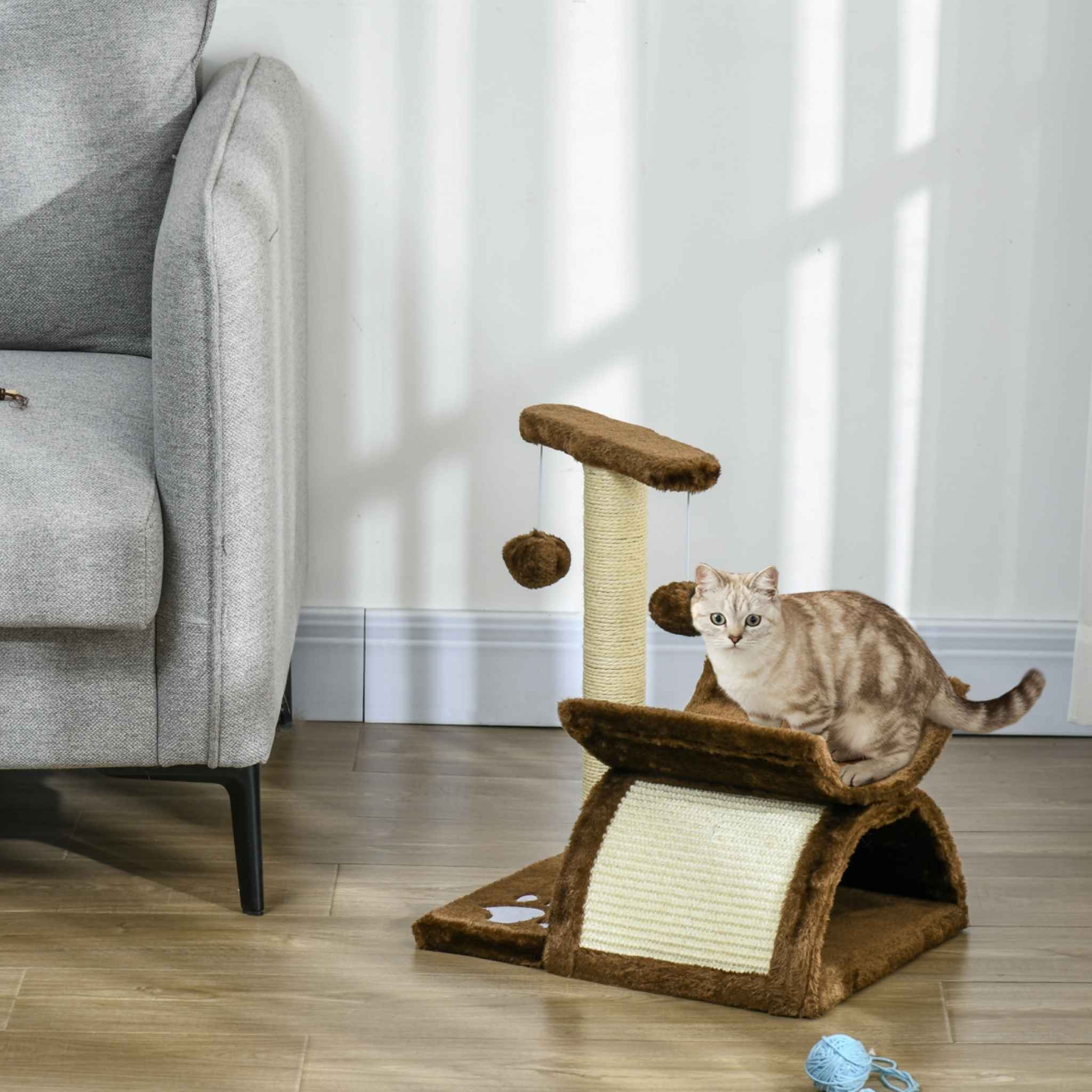 Cat sitting on small cat tree next to a sofa