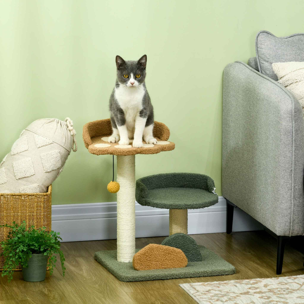 Cat sitting on top level of cat tower