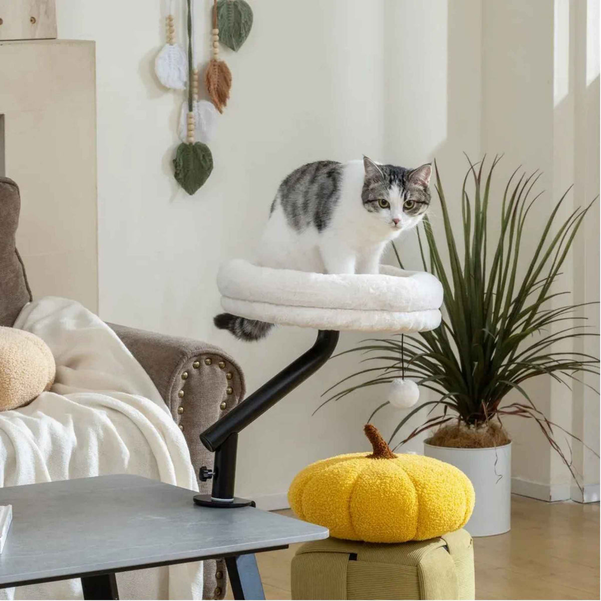 Cat sitting on white desk bed