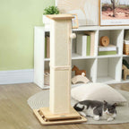 Cat sleeping on a rug next to a sisal rope cat scratcher