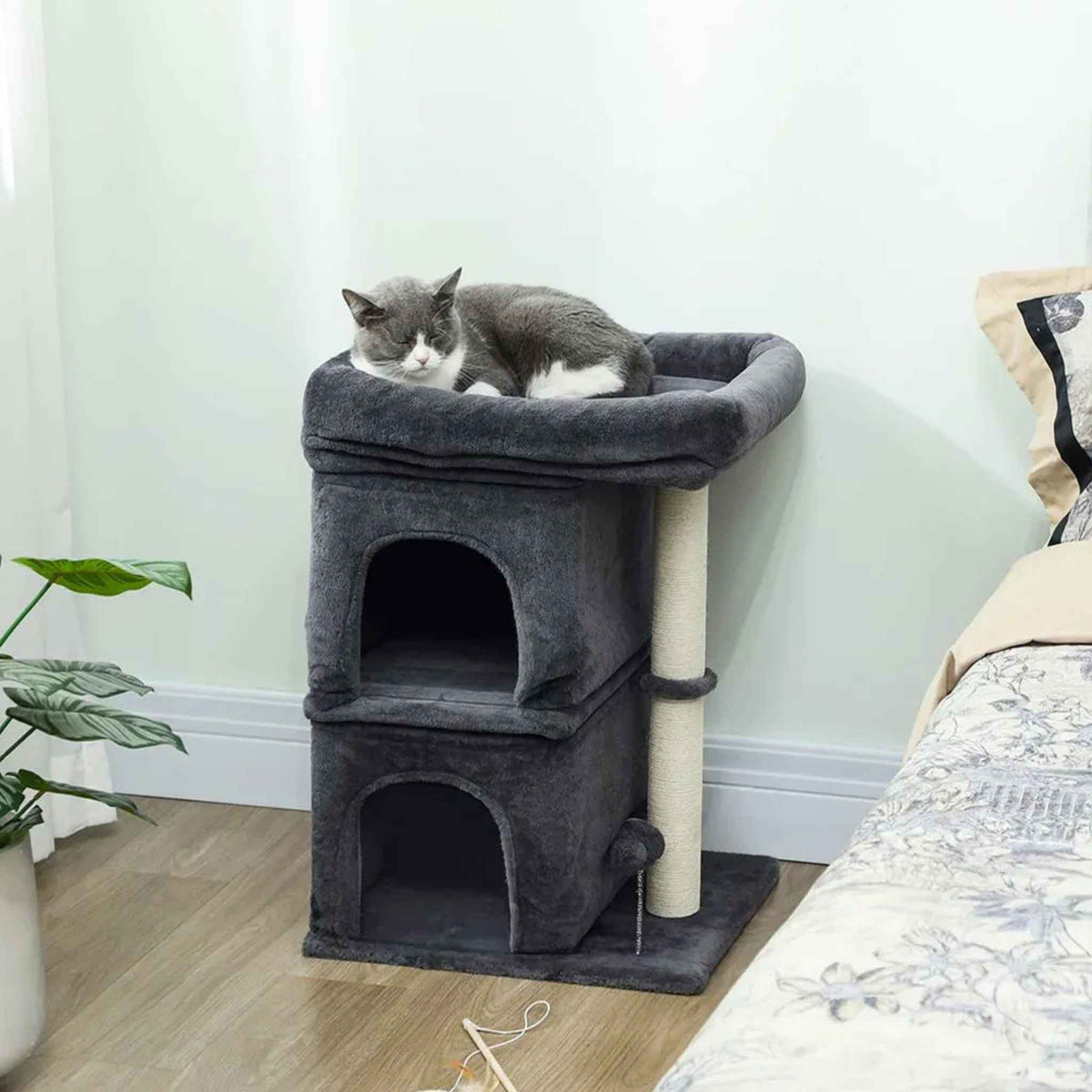 Cat sleeping on top perch of small cat tree