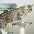 Cat standing on second level of grey cat tree