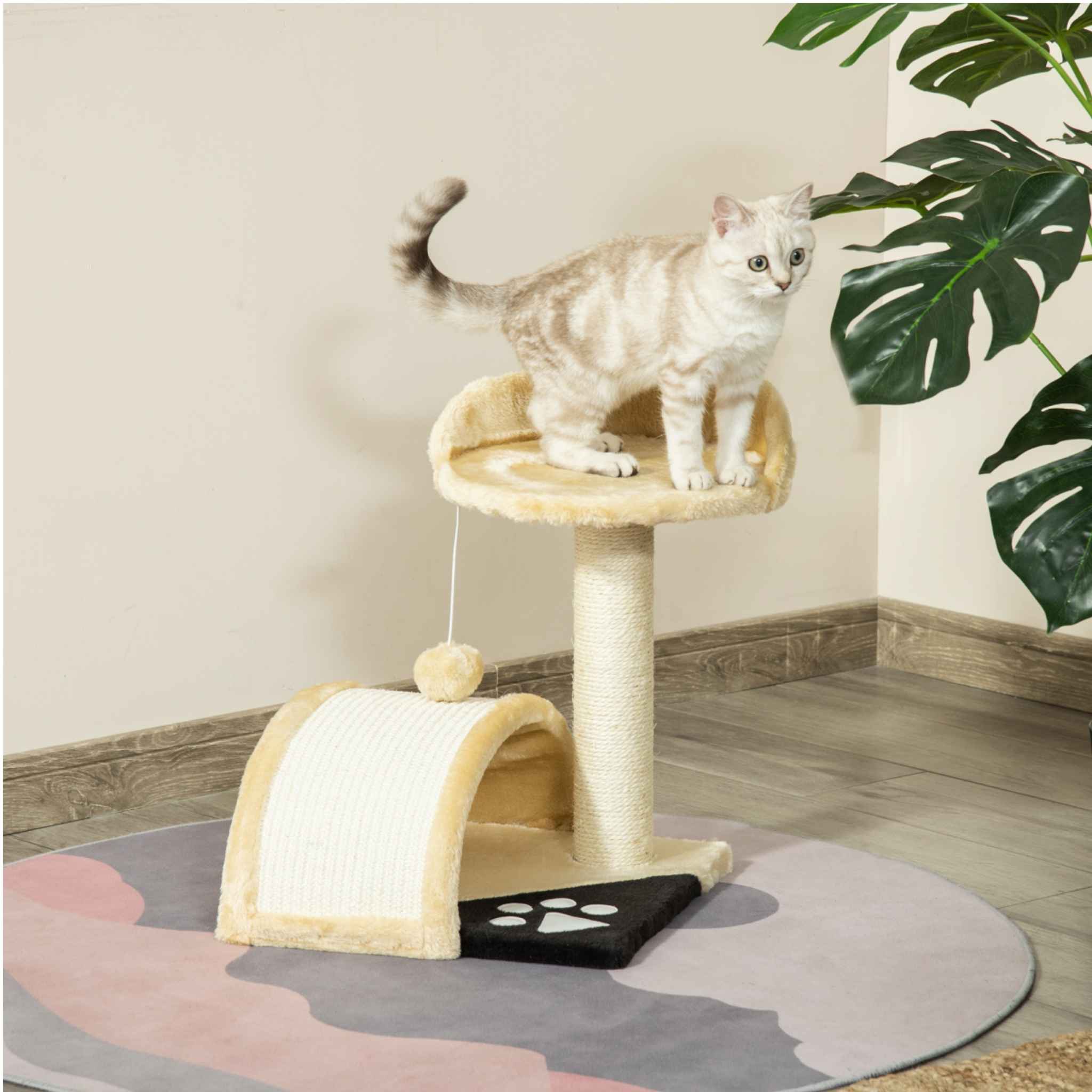 Cat standing on top perch of small cat tree