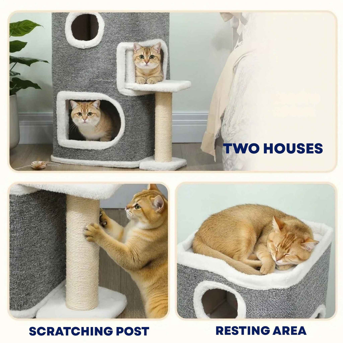 Cat tree house features