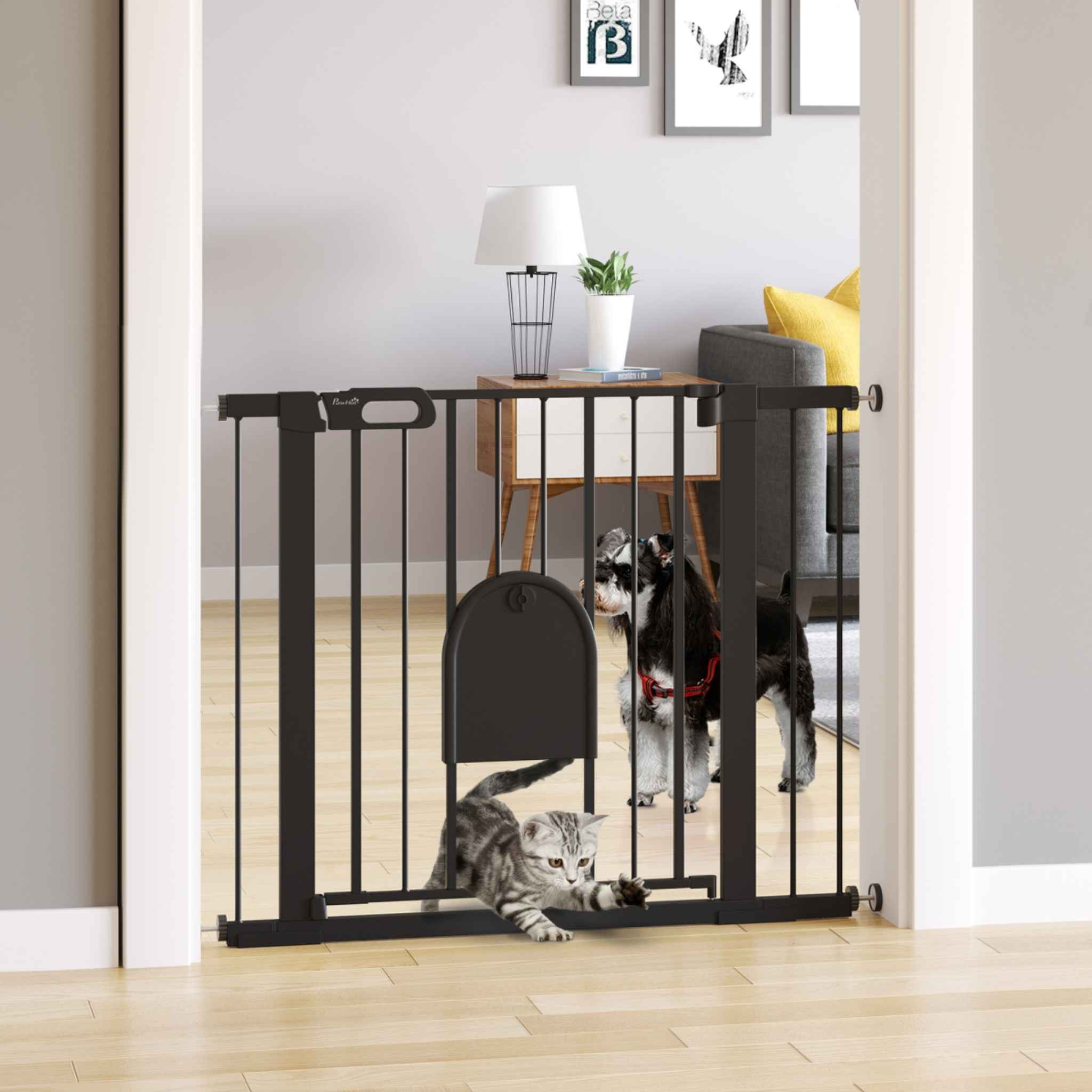 Cat walking through black dog gate