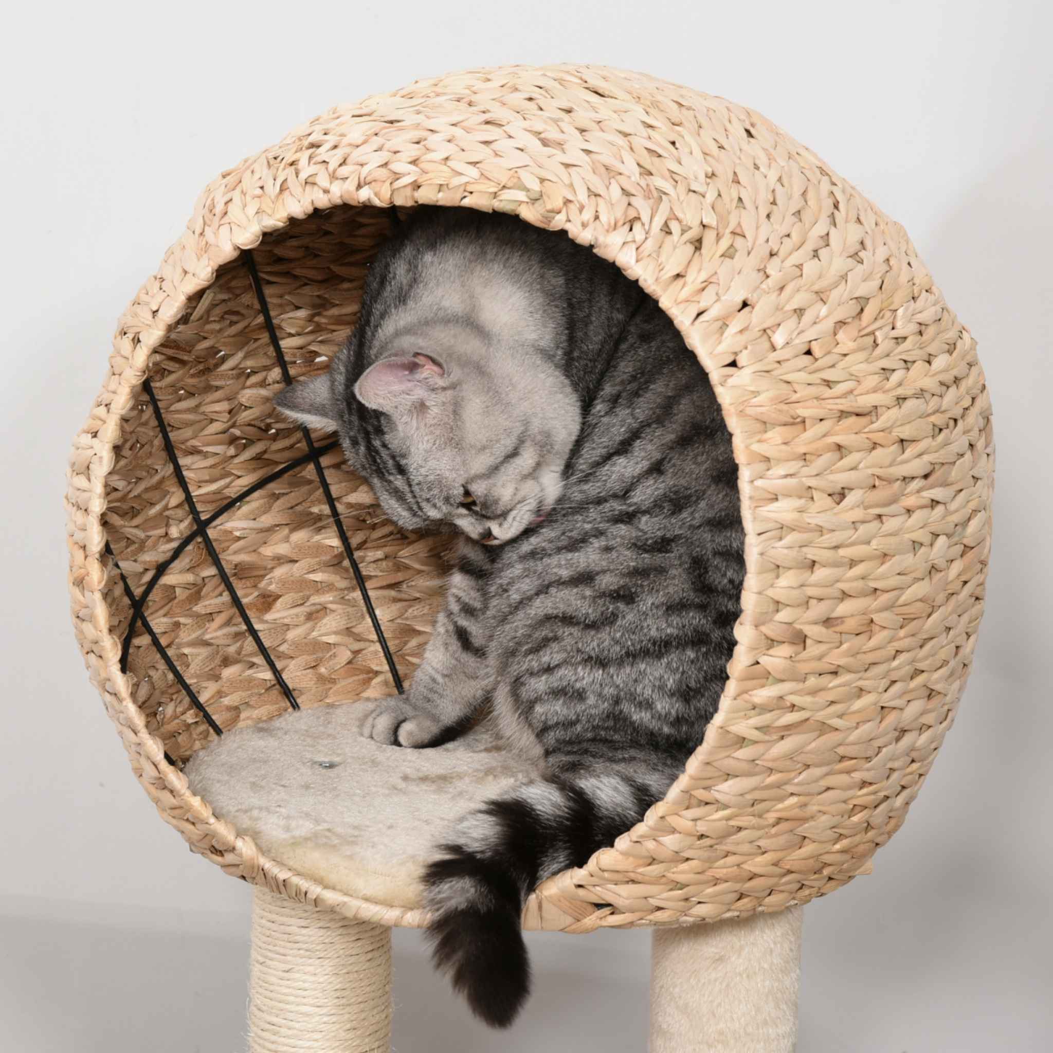 Cattail fluff cat house