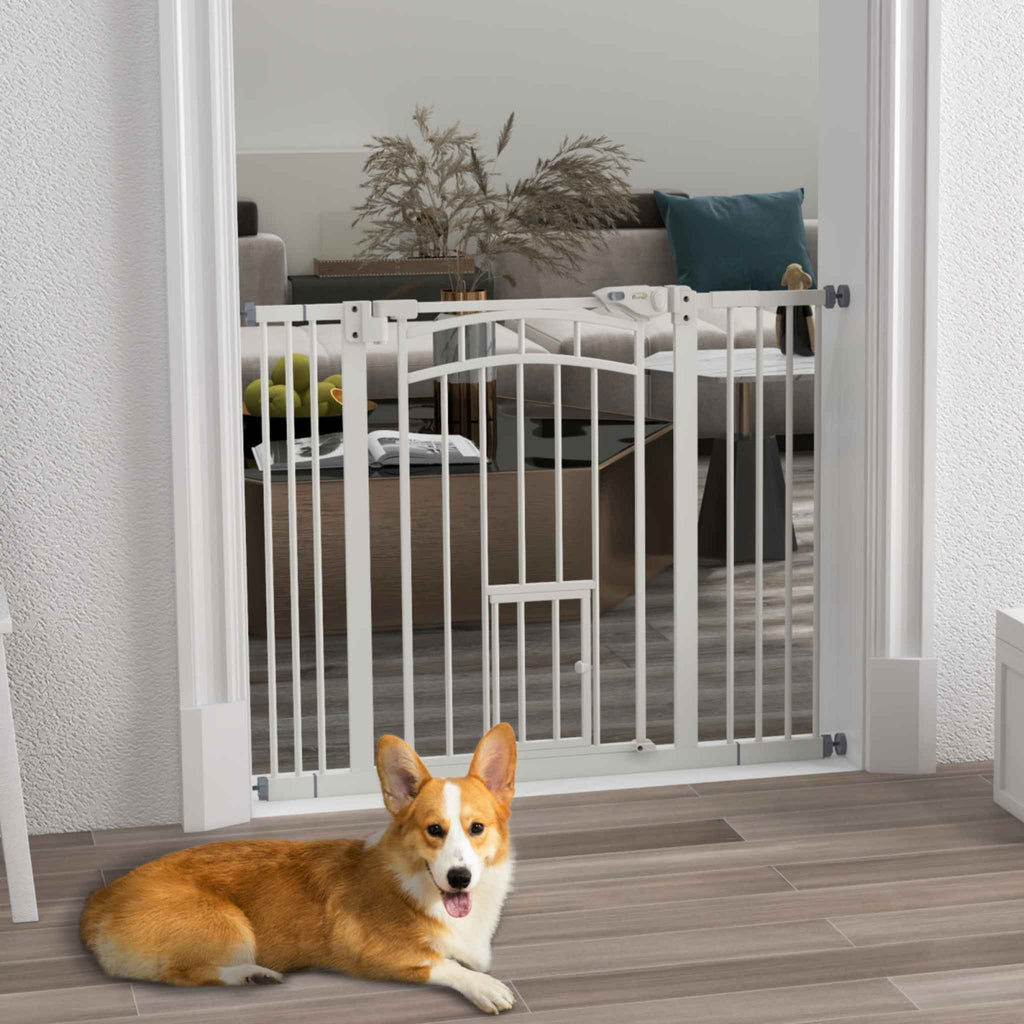 Dog laying in front of wide white pet gate