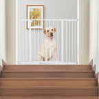 Dog sitting behind pet gate at top of stairs